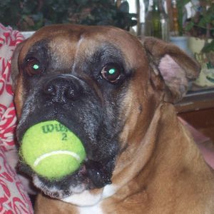 Meet your Posher, Michelle